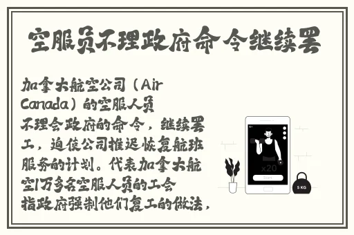 办公室的滋润2